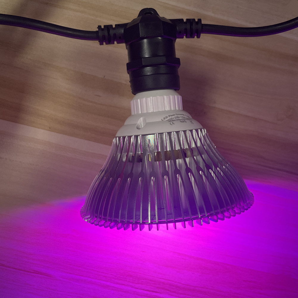 สายไฟ LED ยาว 10 เมตร เกรดเชิง - Led Fairy String Lights บทวิจารณ์และราคา